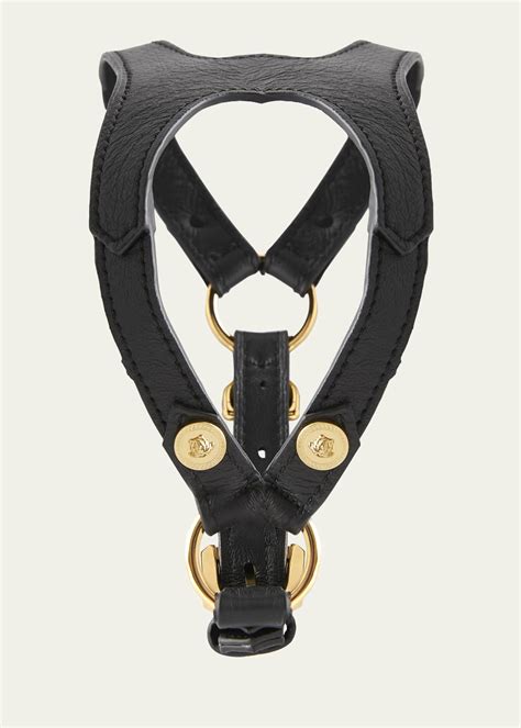 Versace dog harness